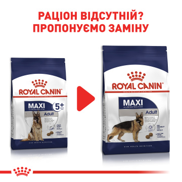 Royal Canin Maxi Adult 5+