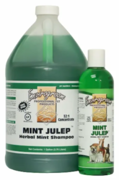 Текстурующий и охлаждающий шампунь с мятой Envirogroom Mint Julep