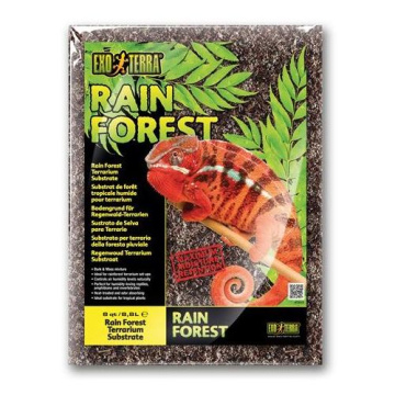 Hagen Exo Terra Rain Forest