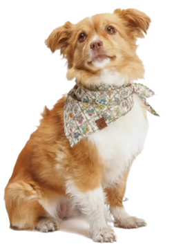 Бандана для собак Cloud7 Flower Squares Різнокольоровий