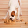 Nina Ottosson Dog Smart Composite Головоломка для собак