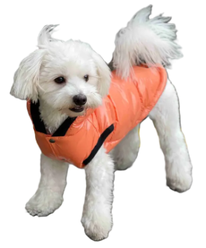 Жилет лакированный DogsBomba оранж.