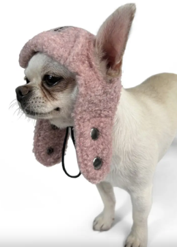 Шапка DogsBomba Авиатор тедди пудра 