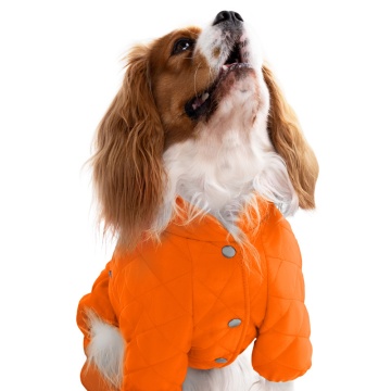 Комбинезон для собак Barksi Textile Оранжевый