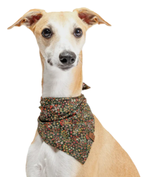 Бандана для собак Cloud7 Botanical Night Різнокольоровий