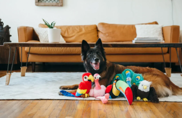 Игрушка для собак Fetching Flock Collection - Eagle Pet Play