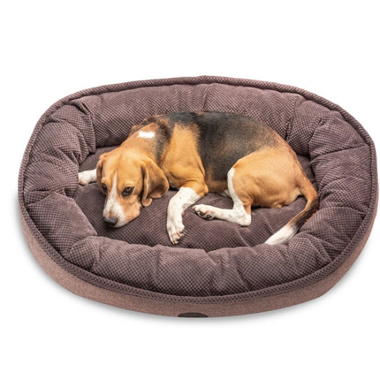 Harley and Cho Donut Soft Touch Brown