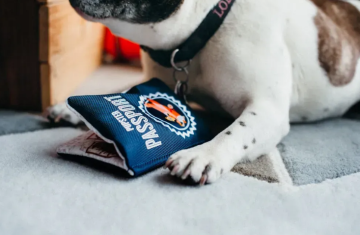 Игрушка для собак Globetrotter Collection - Passport Pet Play