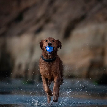 Іграшка для собак м'яч, що світиться Planet Dog Strobe Ball