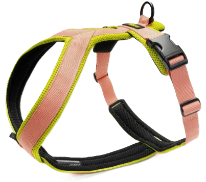 Y-подібна шлейка для собак Cloud7 Y-1 Harness AKTIV Персиковий