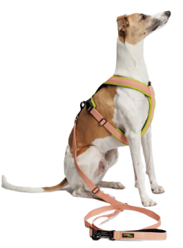 Повідець вільні руки для собак Cloud7 L-1- Hands-Free-Leash AKTIV Персиковий