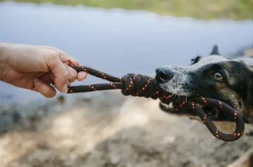 Игрушка для собак Scout & About Tug Pet Play 