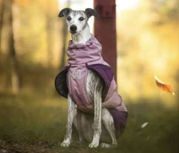 Зимняя куртка для собак Glacier wool jacket 3.0 Non-stop dogwear Фиолетовый