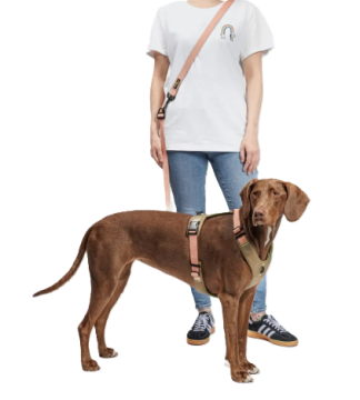 Повідець вільні руки для собак Cloud7 L-1- Hands-Free-Leash AKTIV Персиковий