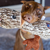 Charming Pet Barkers Sycamore Игрушка "Мягкая ветка" для собак