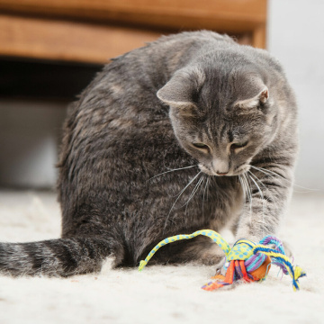 Petstages Catnip Tons of Tails Іграшка "Товсті хвостики" для котів