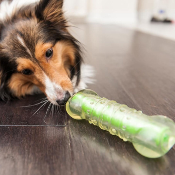 Petstages Crunchy Bone Хрумка кісточка для собак