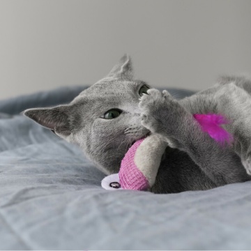 Petstages Dental Shrimpies Іграшка "Креветка" для котів