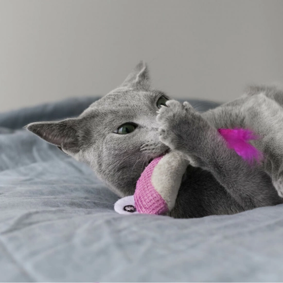 Petstages Dental Shrimpies Игрушка "Креветка" для кошек
