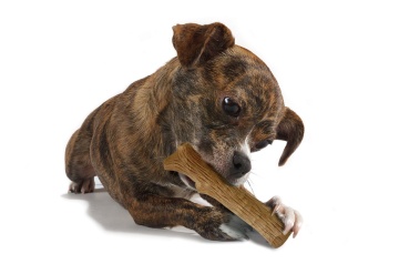 Petstages Dogwood Stick "Міцна гілка" для собак