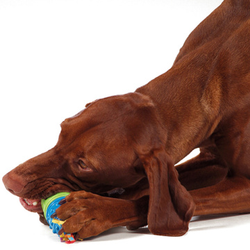 Petstages Calming Treat Capsule Капсула для ласощів