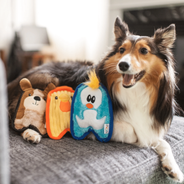 Outward Hound Invincibles Minis Chicky "Непереможне курча" для собак