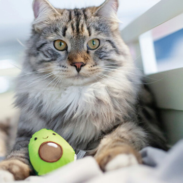 Petstages Lil' Avocato Іграшка "Авокадо" для котів