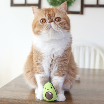 Petstages Lil' Avocato Іграшка "Авокадо" для котів