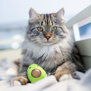 Petstages Lil' Avocato Іграшка "Авокадо" для котів