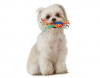 Petstages Mini Chew Starter Набор игрушек для собак