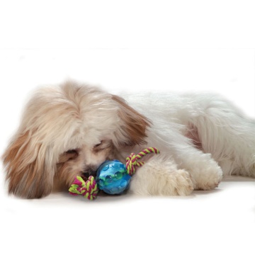 Petstages Mini Orka Ball with rope - Орка мини мячик с канатиками