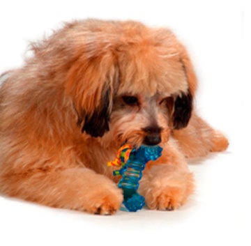 Petstages Mini Orka Bone Мини Орка-косточка с канатиками для собак