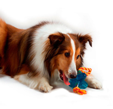 Petstages Orka Jack Small