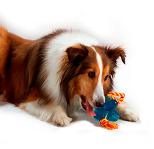 Petstages orka jack new arrivals