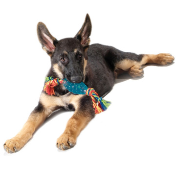 Petstages Orka Pine Cone Chew Орка-шишка с канатом для собак