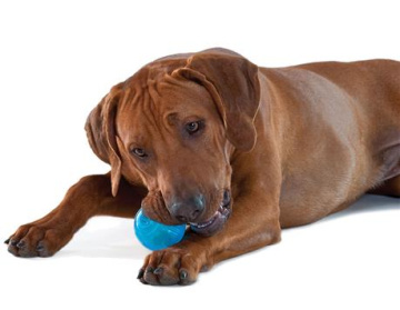Petstages Tennis Ball Blu Орка теннисный мяч