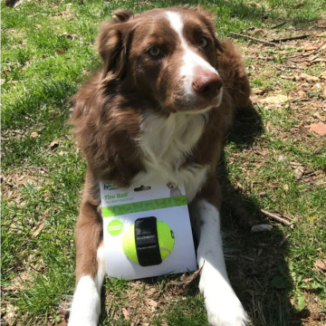 Outward Hound Tire Ball Теннисный мяч с шиной для собак