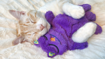 Petstages Purr Pillow Подушка-антистрес "Кіт" зі звуком для котів