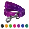 Поводок для собак нейлоновый WAUDOG Nylon Mono светоотражающий, фиолетовый