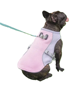 Летний охлаждающий жилет Derby для собак Pink