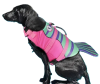 Рятувальний жилет Derby Fish Design Pink для собак