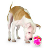 Іграшка для собак м'яч-лабіринт Planet Dog Mazee