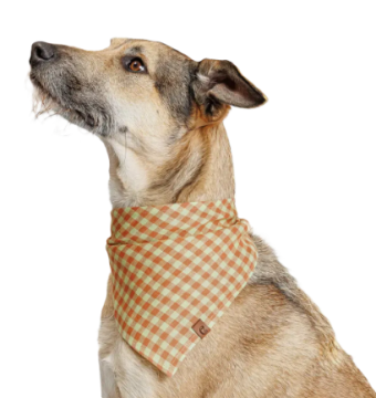 Бандана для собак Cloud7 Check Помаранчевий
