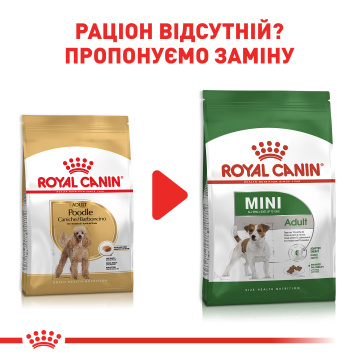 Royal Canin Poodle Adult