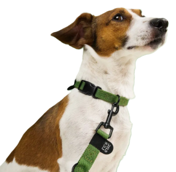 Повсякденний повідець для собак Cloud7 Rescue Basic Зелений