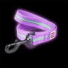 Повідець Collar Waudog Nylon Світлонакопичувальний Фіолетовий