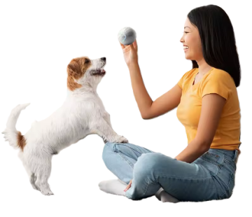 Іграшка для собак Розумний м'яч Smart Dog Toy Ball