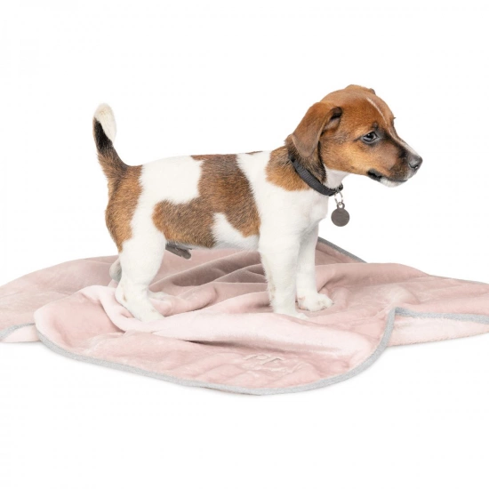 Природа Плед Pet Fashion Bliss пудра