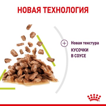 Royal Canin Sensory Smell в соусе для кошек