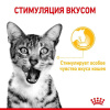 Royal Canin Sensory Taste в соусе для кошек